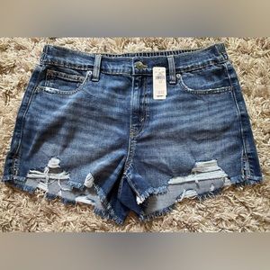 NWT Aerie Daydream Denim Short